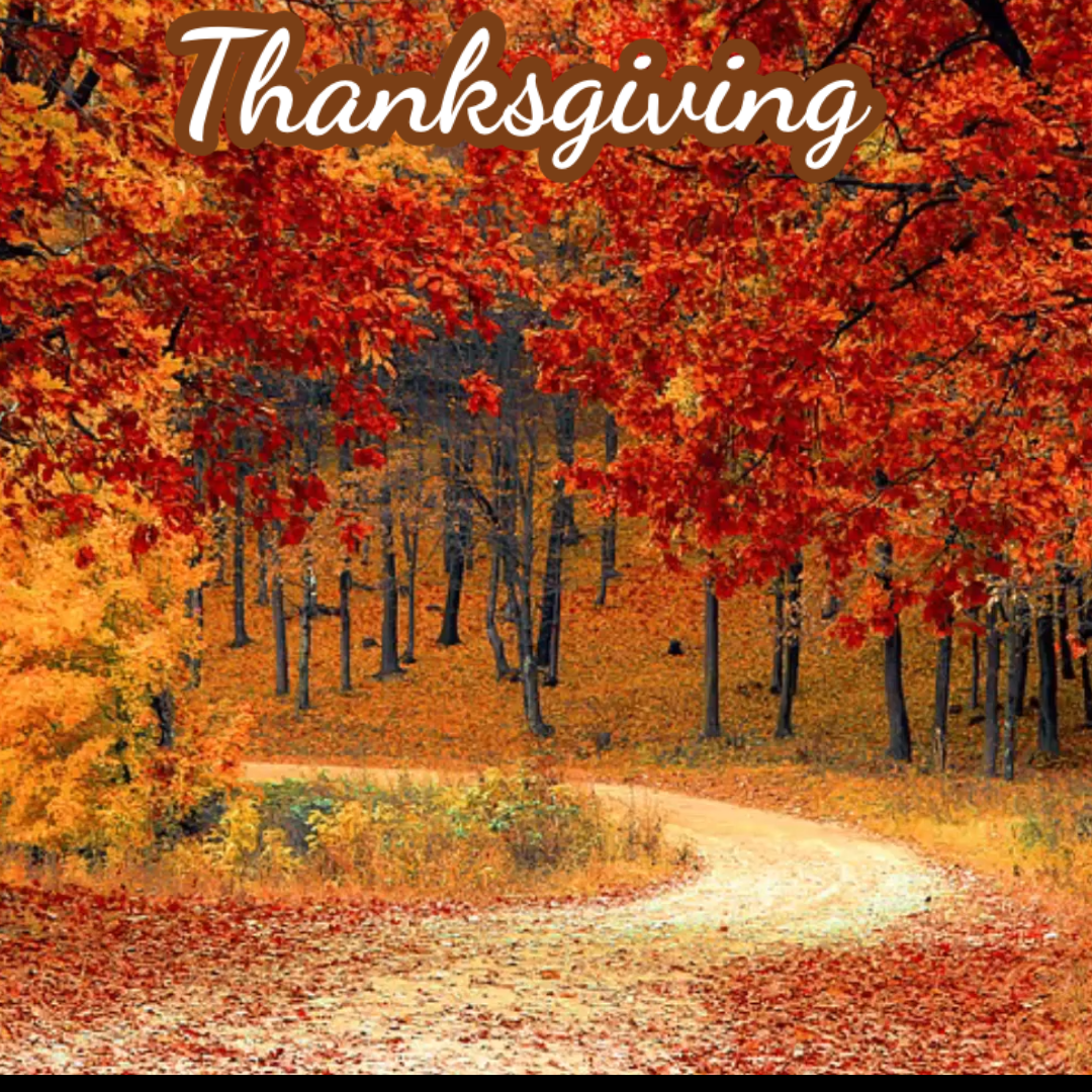 Beautiful Thanksgiving Video Message – Send Instantly Online