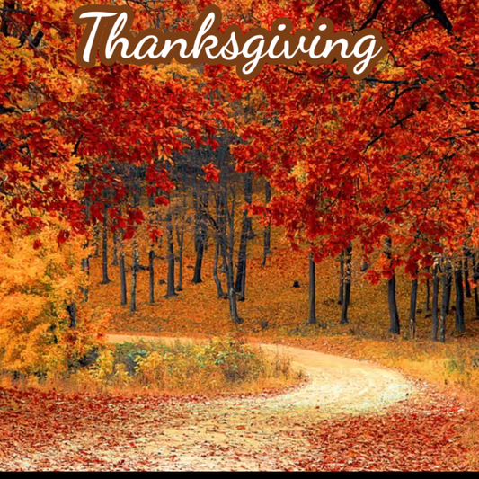 Beautiful Thanksgiving Video Message – Send Instantly Online